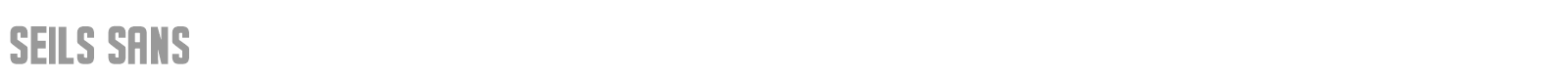 Seils Sans font preview